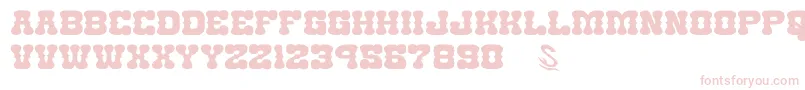 GomariceNantokaWestern Font – Pink Fonts