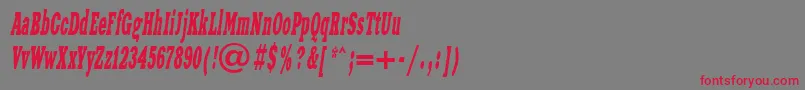 Czcionka XeniawesterncttItalic – czerwone czcionki na szarym tle