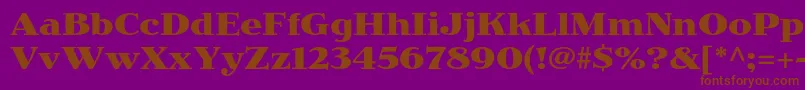 JimbostdBold Font – Brown Fonts on Purple Background