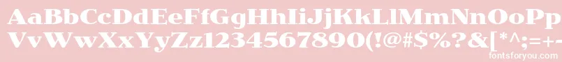 JimbostdBold Font – White Fonts on Pink Background