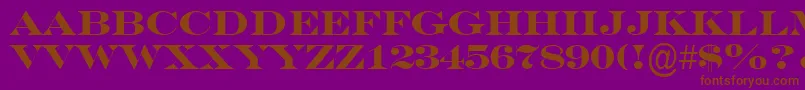 ASeriferexptitulBold Font – Brown Fonts on Purple Background