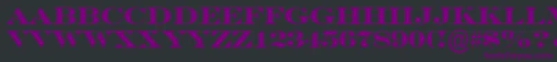 ASeriferexptitulBold Font – Purple Fonts on Black Background