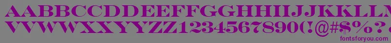 ASeriferexptitulBold Font – Purple Fonts on Gray Background