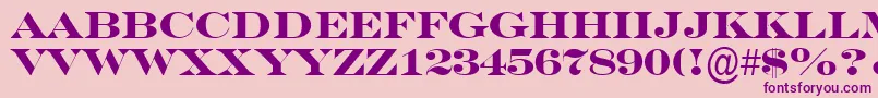 ASeriferexptitulBold Font – Purple Fonts on Pink Background
