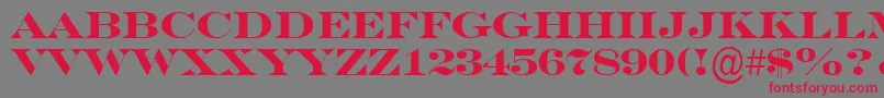フォントASeriferexptitulBold – 赤い文字の灰色の背景