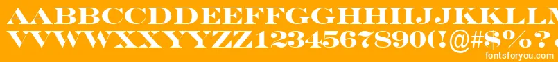 ASeriferexptitulBold Font – White Fonts on Orange Background