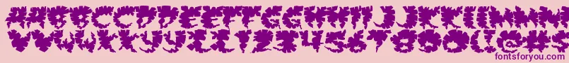 Extravirgin-Schriftart – Violette Schriften auf rosa Hintergrund