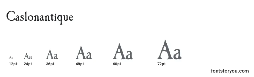 Размеры шрифта Caslonantique