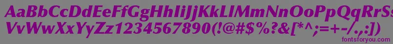 OptimaltstdXblackitalic-fontti – violetit fontit harmaalla taustalla