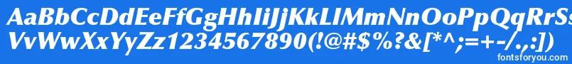 Czcionka OptimaltstdXblackitalic – białe czcionki na niebieskim tle