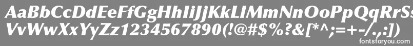 Weitere Informationen zur OptimaltstdXblackitalic-Schriftart OptimaltstdXblackitalic-Schriftart – Weiße Schriften auf grauem Hintergrund