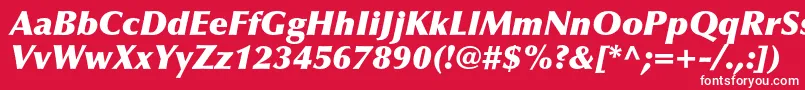 OptimaltstdXblackitalic Font – White Fonts on Red Background