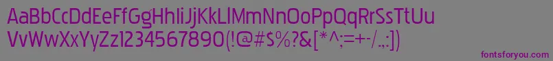 フォントPakenhamRg – 紫色のフォント、灰色の背景