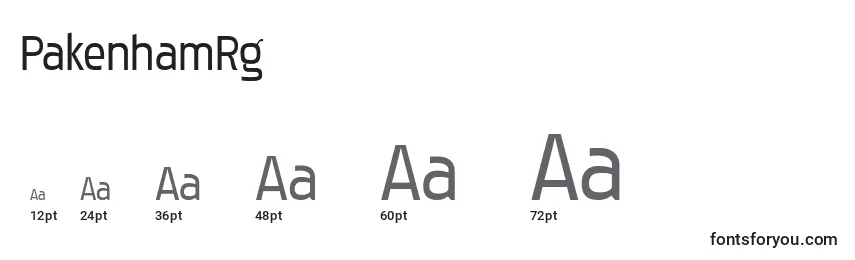 PakenhamRg Font Sizes