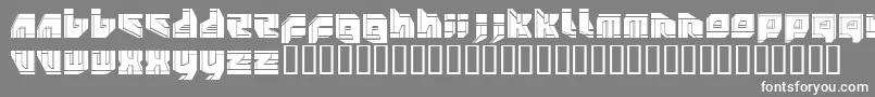 フォントNeopangaiaP2 – 灰色の背景に白い文字