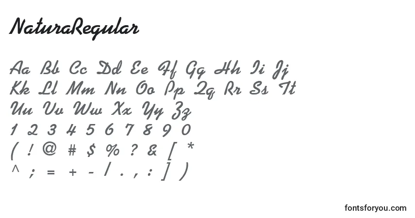 A fonte NaturaRegular – alfabeto, números, caracteres especiais
