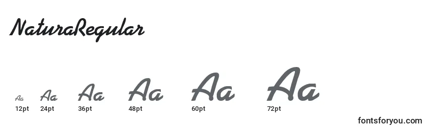 NaturaRegular Font Sizes