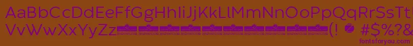 CodecWarmNewsTrial Font – Purple Fonts on Brown Background