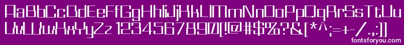 WhizKidRegular Font – White Fonts on Purple Background