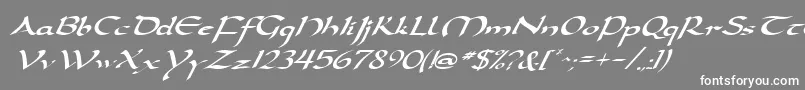DarwyckeItalic-Schriftart – Weiße Schriften auf grauem Hintergrund