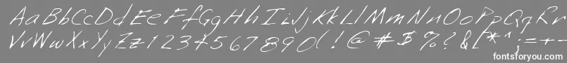 フォントLehn253 – 灰色の背景に白い文字