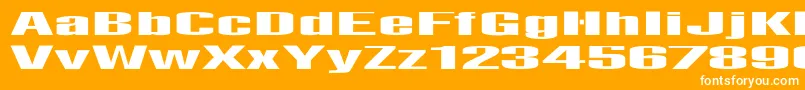 Lightsout Font – White Fonts on Orange Background
