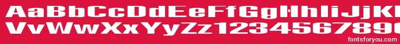 フォントLightsout – 赤い背景に白い文字