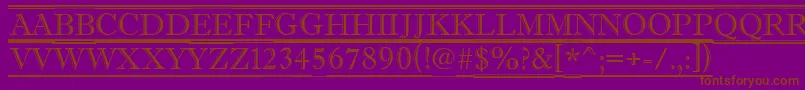 AAntiquetituldcfr Font – Brown Fonts on Purple Background