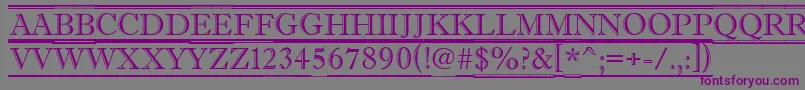 AAntiquetituldcfr Font – Purple Fonts on Gray Background
