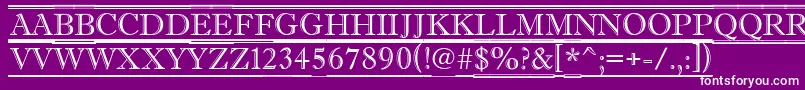AAntiquetituldcfr Font – White Fonts on Purple Background
