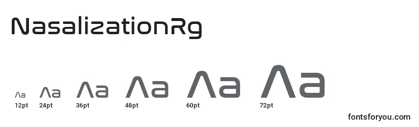 Размеры шрифта NasalizationRg
