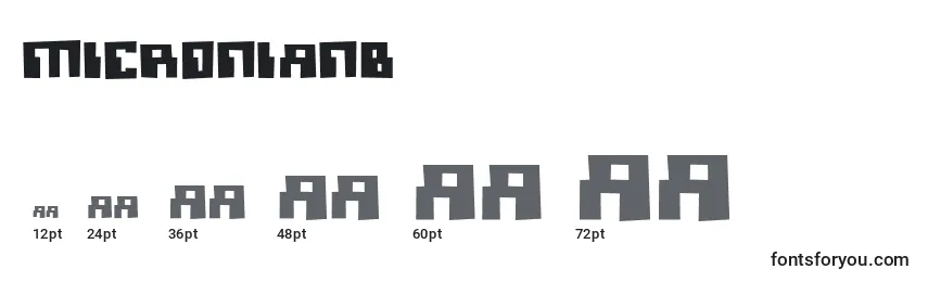 Micronianb Font Sizes