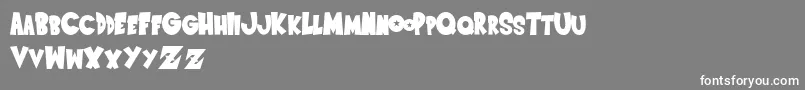 SaiyanSansregular Font – White Fonts on Gray Background