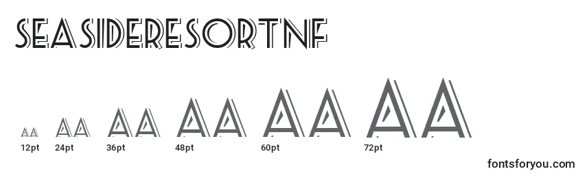 Seasideresortnf Font Sizes