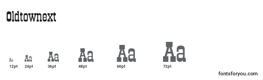 Oldtownext Font Sizes