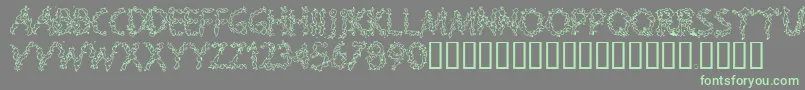More about Splooge Font Splooge Font – Green Fonts on Gray Background
