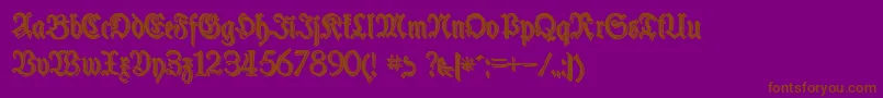 SchneiderBuchDeutschShadowTwo Font – Brown Fonts on Purple Background