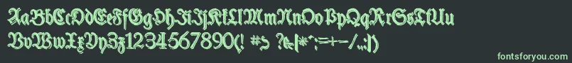 SchneiderBuchDeutschShadowTwo Font – Green Fonts on Black Background
