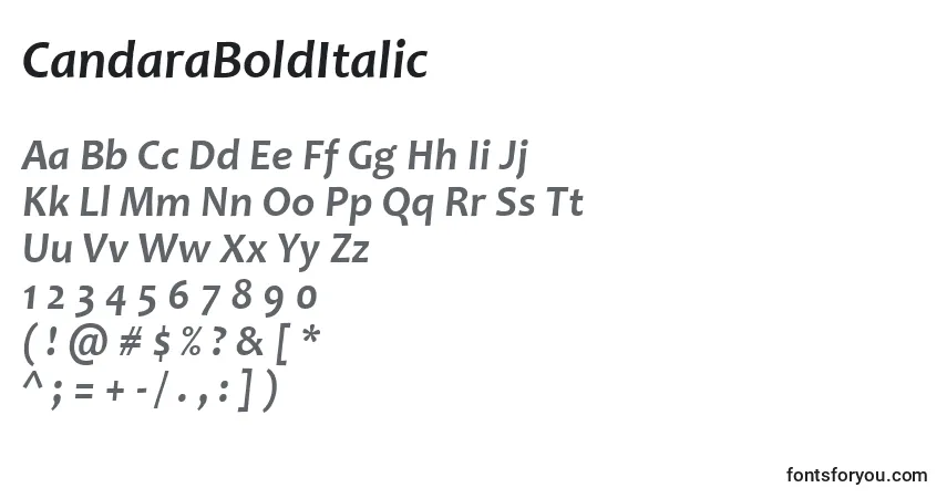 Czcionka CandaraBoldItalic – alfabet, cyfry, specjalne znaki