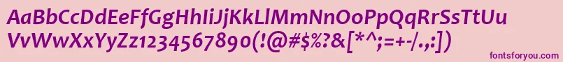 CandaraBoldItalic Font – Purple Fonts on Pink Background