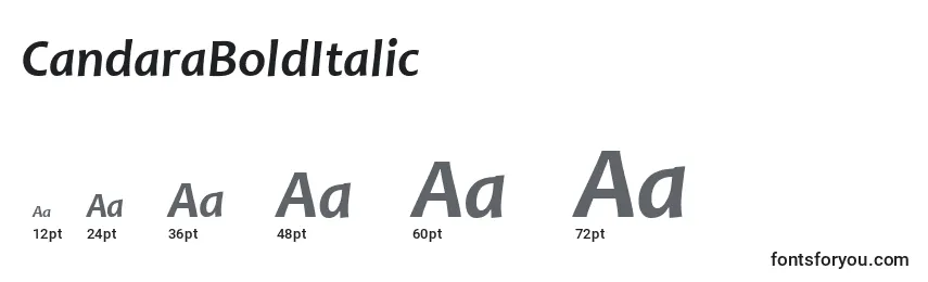 Размеры шрифта CandaraBoldItalic