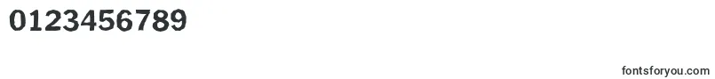 PlymouthantiqueXboldRegular Font – Fonts for Numbers and Digits