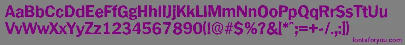 PlymouthantiqueXboldRegular Font – Purple Fonts on Gray Background