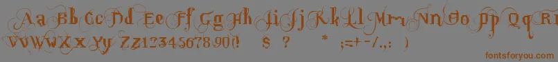 OpusPix-Schriftart – Braune Schriften auf grauem Hintergrund