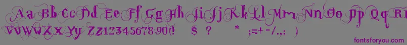 OpusPix-Schriftart – Violette Schriften auf grauem Hintergrund