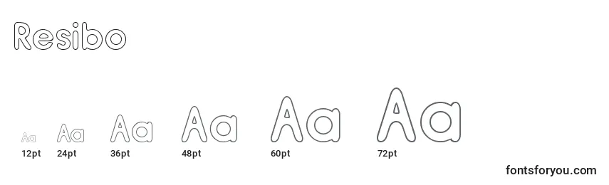 Resibo Font Sizes