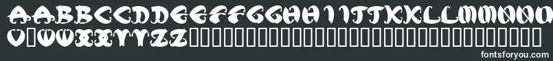 フォントMstkElegbold1 – 黒い背景に白い文字