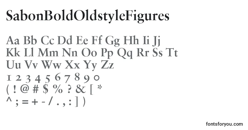 Schriftart SabonBoldOldstyleFigures – Alphabet, Zahlen, spezielle Symbole