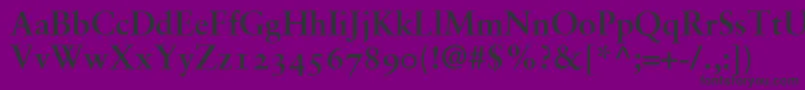SabonBoldOldstyleFigures Font – Black Fonts on Purple Background