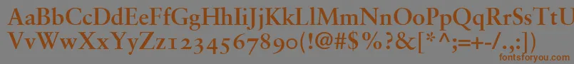 SabonBoldOldstyleFigures Font – Brown Fonts on Gray Background